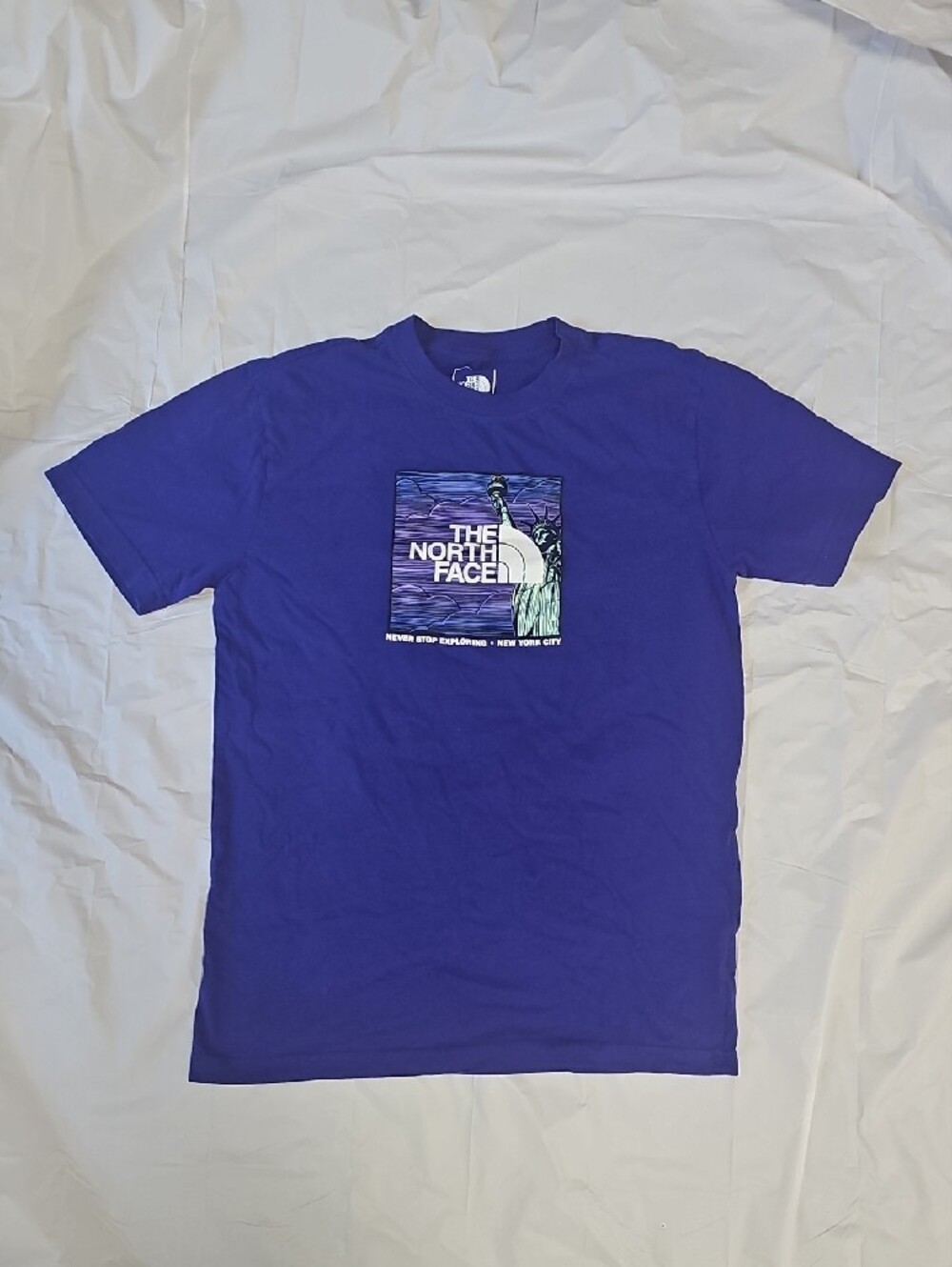 The North Face Men's Size Small Purple Graphic Crew Neck T-Shirt Used